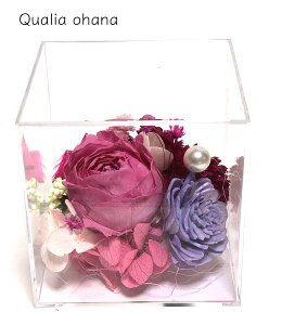 v`Mtg NX^BOX 9×9×9 ԃMtgy傫ȃsÑvU[uht[z [Y  vU[uht[ nCZXMtg ސE  Ԃ o ܂Ƃߔ LO 