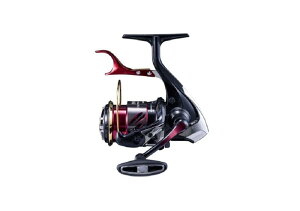 ���[�� �郌�o�[���[�� 20 BB-X �n�C�p�[�t�H�[�X 2020