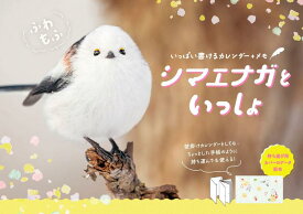 購入者特典付きカレンダー2026 いっぱい書けるカレンダー＋メモ　ふわもふシマエナガといっしょ（月めくり/壁掛け/296mm×210mm）（かわいいシマエナガの「ノートカバー」データ配