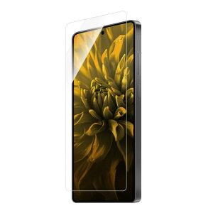 LEPLUS ���v���X Galaxy S25 Ultra �K���X�t�B���� �uGLS PREMIUM F�v�X�^���_�[�h�T�C�Y ������ LN-25SG2FG02