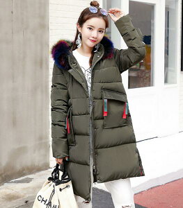 2017~@@O_E@t[ht@ӂӂ@R[h@@g@ʋ΁@ʊw@f[g