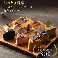 父の日 バスクチーズケーキ カット 9種セット 誕生日 冷凍 ギフト プレゼント バスクチーズ並木