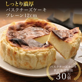 敬老の日 バスクチーズケーキ プレーン 12cm 誕生日 冷凍 ギフト プレゼント バスクチーズ並木