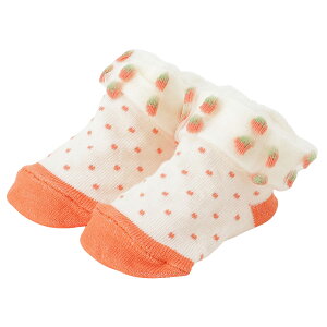 y2J[Iׂ܂zg\bNXyLgEZ]ʒiz