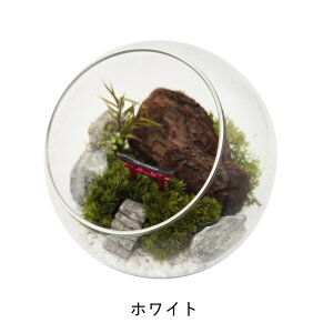 ۃv KXh[ 12cm | ^Cv i eE ͂Ȃ  vU[uh sv sv Y { ~j`A ͌^ Mtg v[g v`Mtg a {ge