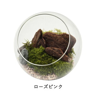 ۃv KXh[ 15cm | Ebh i eE ͂Ȃ  vU[uh sv sv Y { ~j`A ͌^ Mtg v[g v`Mtg a {geE