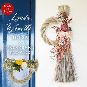 ߓ ߓ   Y | { vU[uht[ hCt[    _ [X   ߂Ȃ XbO CeA AWg i`