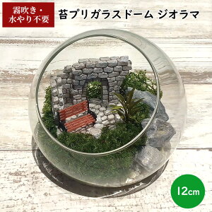 ۃv KXh[ WI} 12cm | CeA  sv sv Y { ~j`A Mtg v[g   O[   vU[uh a  