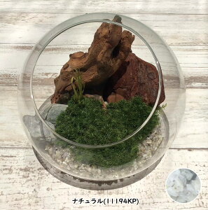 ۃv KXh[ 15cm  | CeA  sv sv Y { ~j`A Mtg v[g   O[   vU[uh 蕨 a u