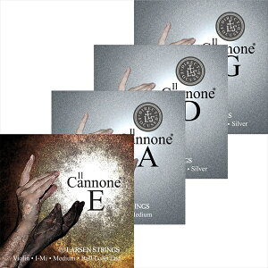 C Jm[l _CNg&tH[JXh@~fBA oCI WZbg y[Zz [Il Cannone D&F Medium]