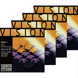 rW rI WZbg VI200 yg}XeB[Nz [Vision]