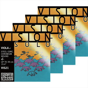 rW \ rI WZbg VIS200 yg}XeB[Nz [Vision Solo]