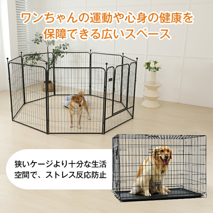 楽天市場】【P5倍☆10/30まで先着20％OFFクーポン対象！！】ペット  