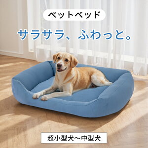 y11/11܂Ł`撅300~OFFN[|IIzybgxbh xbh hbOxbh ̃xbh ^ ᔽ  xbh ybgpxbh \t@[xbh Lp ̌^ ~ ӂ _