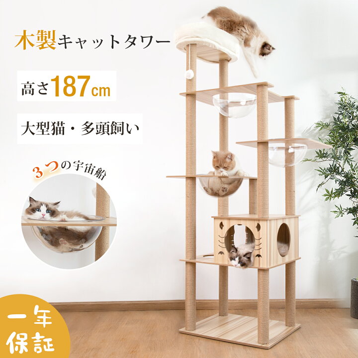 楽天市場】【P5倍☆先着30%OFFクーポン対象～20名様限定！！】キャット 