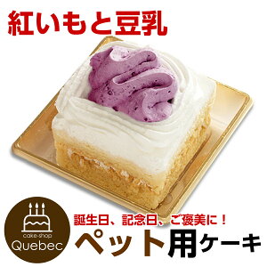 R~t gƓ̃V[gP[L aP[L o[Xf[ p ybg p pet cake