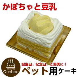 コミフ かぼちゃと豆乳のショートケーキ 誕生日ケーキ バースデー 犬用 ペット用 ワンちゃん用 pet cake