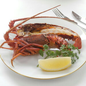  uጎv ɐCVXe[L B ͔zs