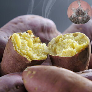 F{ p g͂邩 800g×3 ͔zs