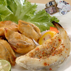 R  u͋vv ӂ銱Ƃg ͔zs