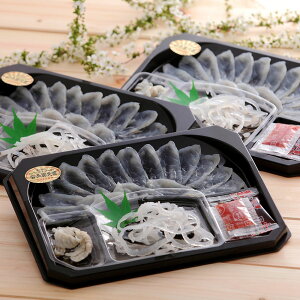 啪LYƂӂhgZbg C ͔zs