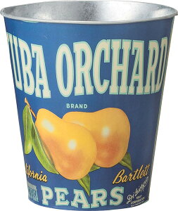 LFS-429C �_�X�g�{�b�N�X JAN:4985155170258 W26×D26×H28