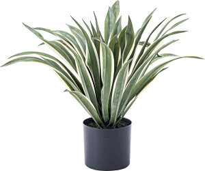 GRN-13 tFCNO[ AKx JAN:4985155208111 W63×D63×H50