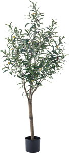 GRN-17 tFCNO[ I[u JAN:4985155208159 W44×D44×H152