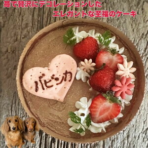 pP[L VRbeB ̃P[L ӂӂX|W̃z[P[L 񂿂pP[L o[Xf[P[L