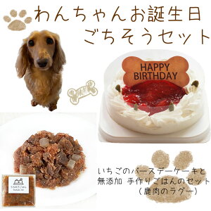 ケーキ セット 手作り ペットの人気商品 通販 価格比較 価格 Com ケーキ セット 手作り ペットの人気商品 通販 価格比較 価格 Com