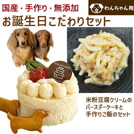 わんちゃんお誕生日こだわりセット 愛犬のお祝いケーキ 米粉豆腐クリームバースデーケーキ サーモンのレモンクリームパスタ付き