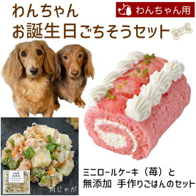 わんちゃんお誕生日ごちそうセット ミニロールケーキ（苺）と手作り 犬用ごはん 肉じゃがのセット 送料無料