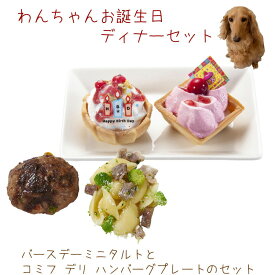 犬 誕生日 ご飯 バースデーミニタルト（2個）とコミフデリ ハンバーグプレートのセット わんちゃんお誕生日ディナーセット