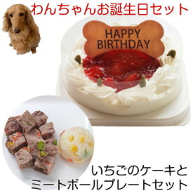わんちゃんお誕生日ディナーセット いちごケーキとミートボールプレートセット 送料無料