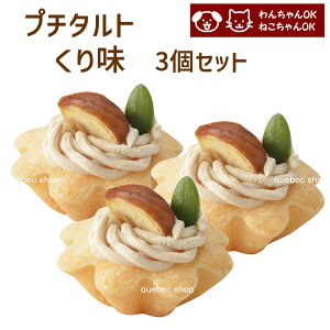 犬 猫 兼用 cake ペットケーキ プチタルト 栗 3個セット ペット用 誕生日 記念日