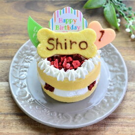 【Wagわん】犬用ケーキ 誕生日 米粉のいちごケーキ お名前・年齢入り。
