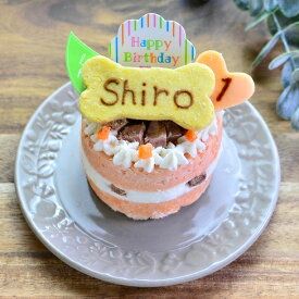 【Wagわん】犬・猫用 誕生日ケーキサーモンケーキ お名前・年齢入り バースデーケーキ