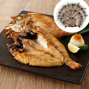 島根県浜田港 のどぐろ開き 離島は配送不可