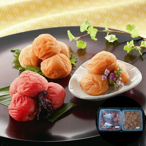 a̎R IB~ 2l (̕ ) e1kg ͔zs