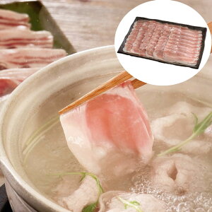 쌧YSPF؂Ԃ ͔zs@2505