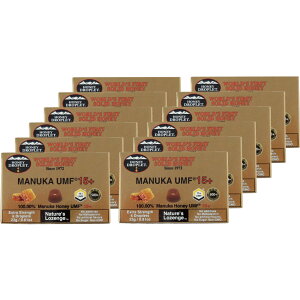 }kJnj[UMF15{ hbvbg@1_[X /  ݂͂ I@kCEE͔zs