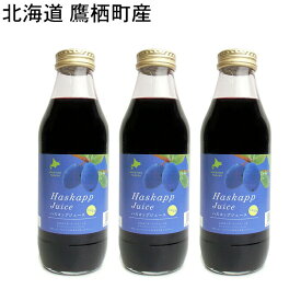 (予約販売・お届け7月末)　北海道 鷹栖町産 ハスカップジュース 500ml×3本