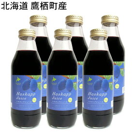 (予約販売・お届け7月末)　北海道 鷹栖町産 ハスカップジュース 500ml×6本セット