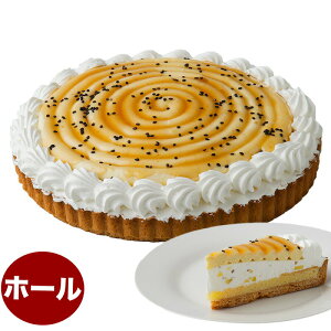 ܂̃^g 7 21.0cm z[^Cv aP[L o[Xf[P[L