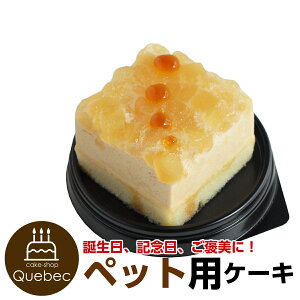 ybgP[L R~t    sgp AM[ ₳XC[c Sƃ[X aP[L o[Xf[P[L ybgpP[L p p