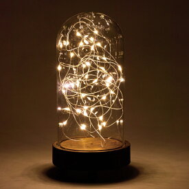 LEDガラスドームライト ハイタイプ Sサイズ JPDR2021【クリスマス Xmas Christmas LEDライト LED 照明 装飾 デコレーション 飾り オブジェ ガラスドーム 電池式】
