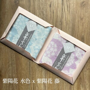 y[֑zMtg2Zbg@FTӂ yӂ H@ ؂ ڂ  `}bg NX G  [ _炩 ޗ s ᒠn FT 