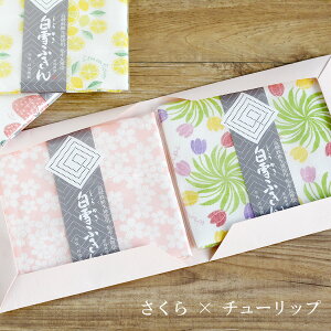 【メール便送料無料】ギフト2枚セット 友禅ふきん 【白雪ふきん 食器拭き 水切り おしぼり 鍋つかみ ランチョンマット クロス 雑巾 綿 レーヨン 柔らかい 奈良 京都 蚊帳生地 京友禅染め