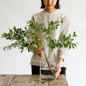 LĊ₷ [YKX t[x[X lbN@108350y􂢂₷ t[x[X Ԋ ԕr KXG  ~U hE_ccW X[Nc[ ~̖ CeAG