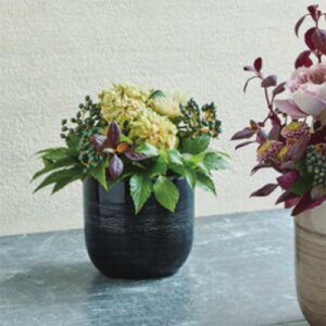 verite Fe 11cmt[x[X170845100/170845180/170845800yt[x[X Ԋ ԕr AeB[N  kz